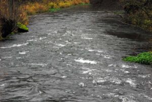 fischwasser-muggendorf