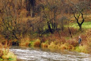 fischwasser-muggendorf