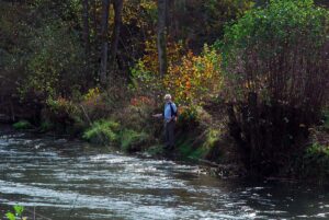 fischwasser-muggendorf