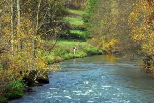 fischwasser-muggendorf